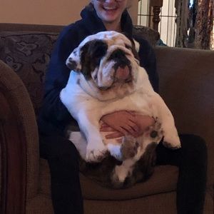 Meet your Posher, Gwen